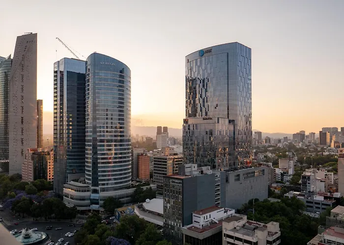 Nido X Reforma *