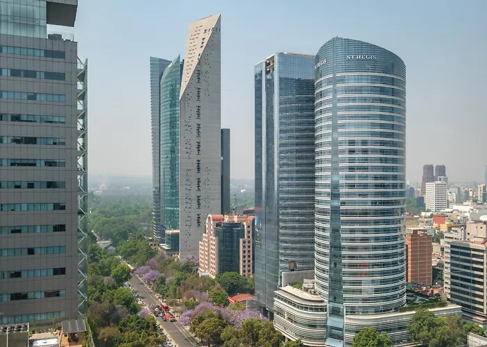 Nido X Reforma *